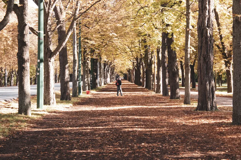 towing service Avondale Estates